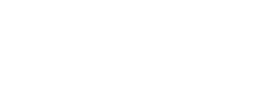 BAIZ logo